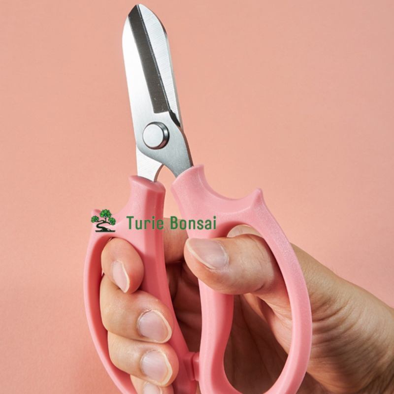 Kéo cắt cành hoa ikebana