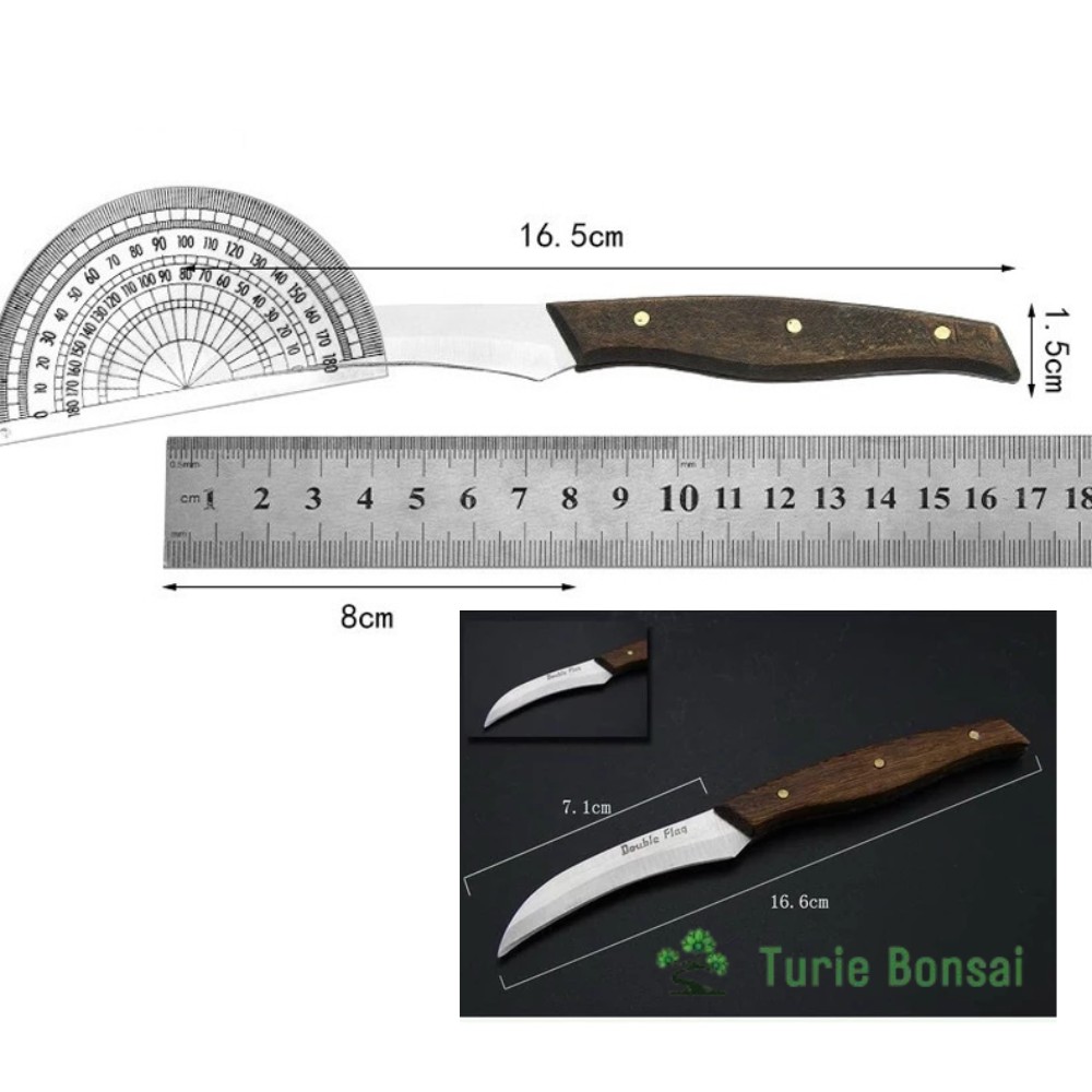 Bộ 3 con dao tách lan kiếm tỉa hoa quả 3 Bộ 3 con dao tách lan kiếm tỉa hoa quả