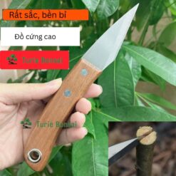Dao ghép cây dao ghép cành cán gỗ